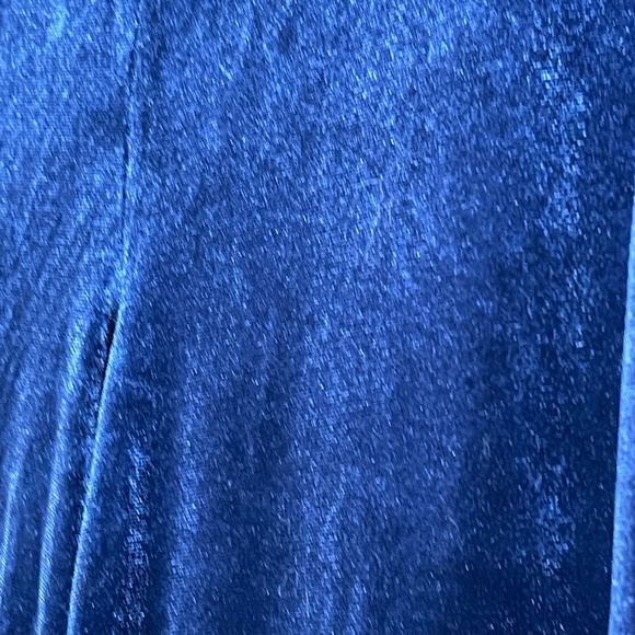 NWT ModCloth Woman’s Velvet Blue Casual Stretch Pants - Picture 5 of 7